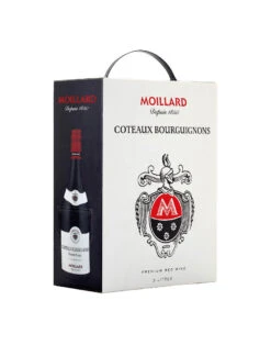 Côteaux Bourguignons AOP Gamay 2021 Maison Moillard