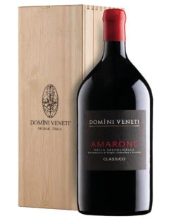 Amarone Della Valpolicella Classico DOCG 2019 Domini Veneti